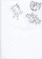 Insetti ecc (155)